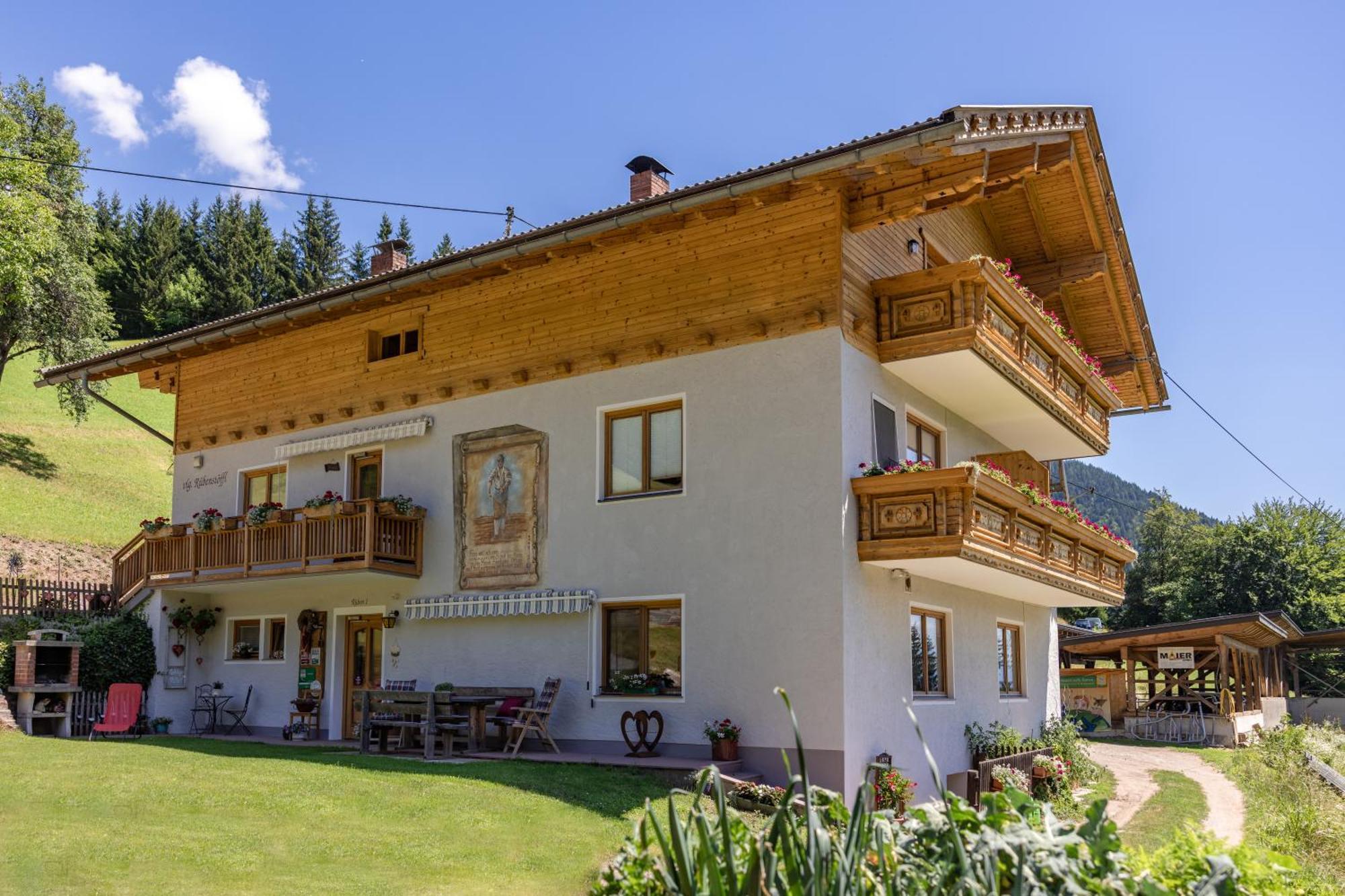 Bio-Bergbauernhof Weger Apartment Dellach  Exterior photo